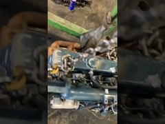 Second Hand Diesel Engine Japanese Original V2203 For Trucks